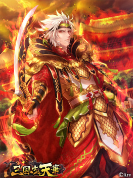 『三国志天華』